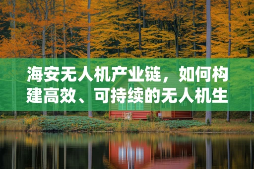 海安无人机产业链，如何构建高效、可持续的无人机生态系统？