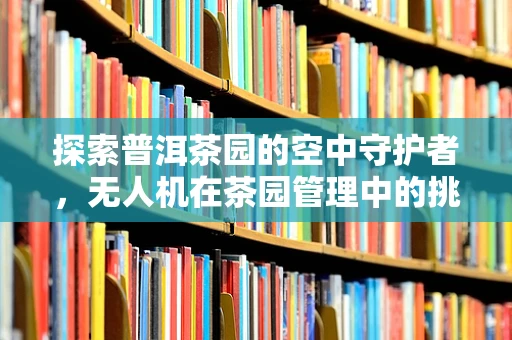 探索普洱茶园的空中守护者，无人机在茶园管理中的挑战与机遇