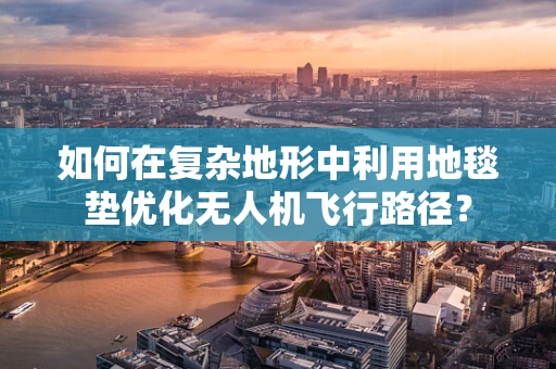 如何在复杂地形中利用地毯垫优化无人机飞行路径？