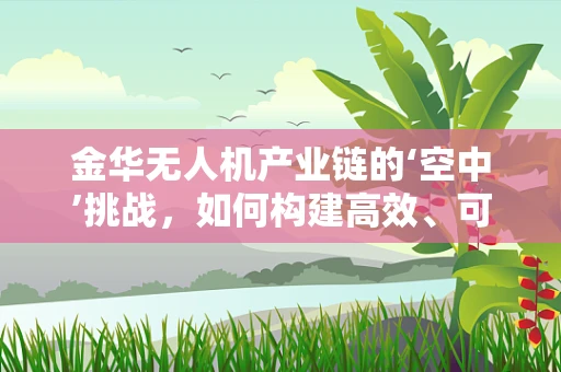 金华无人机产业链的‘空中’挑战，如何构建高效、可持续的供应链？