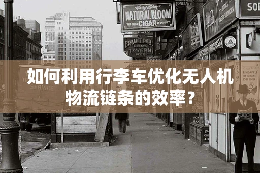 如何利用行李车优化无人机物流链条的效率？