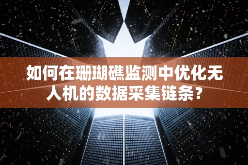 如何在珊瑚礁监测中优化无人机的数据采集链条？
