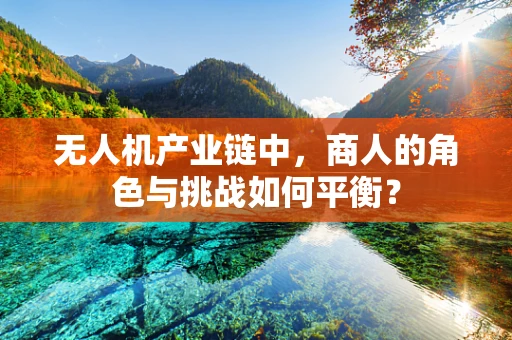 无人机产业链中，商人的角色与挑战如何平衡？