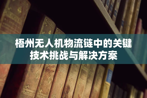 梧州无人机物流链中的关键技术挑战与解决方案