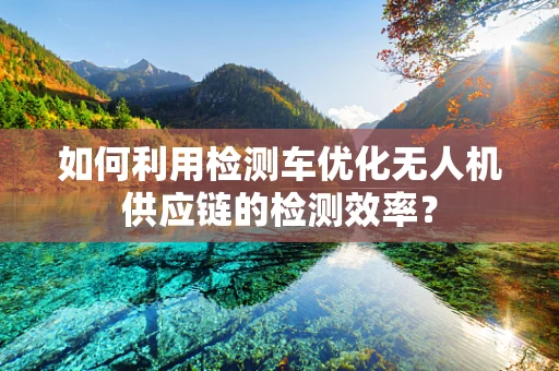 如何利用检测车优化无人机供应链的检测效率？