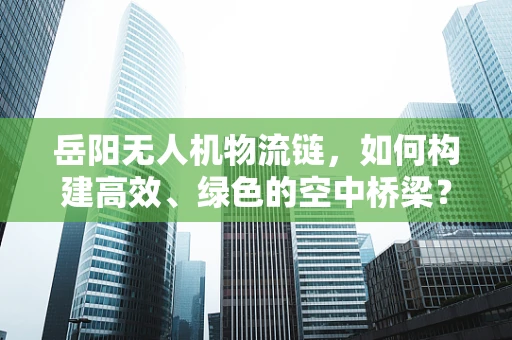 岳阳无人机物流链，如何构建高效、绿色的空中桥梁？