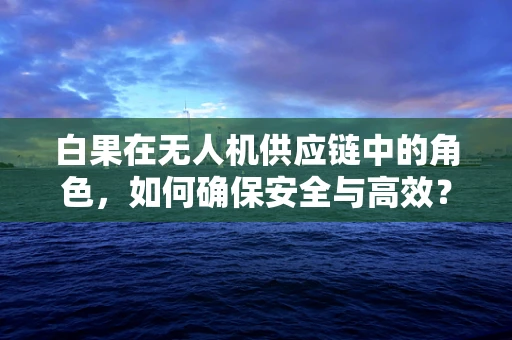 白果在无人机供应链中的角色，如何确保安全与高效？