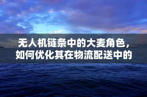 无人机链条中的大麦角色，如何优化其在物流配送中的效率与成本？