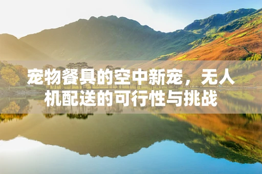宠物餐具的空中新宠，无人机配送的可行性与挑战