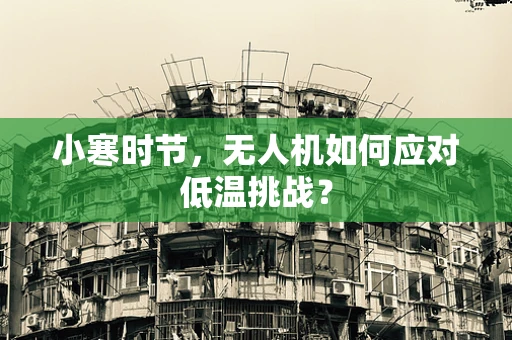 小寒时节，无人机如何应对低温挑战？