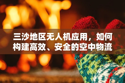 三沙地区无人机应用，如何构建高效、安全的空中物流链？