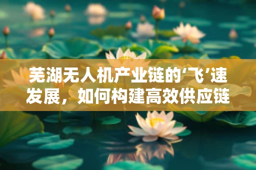 芜湖无人机产业链的‘飞’速发展，如何构建高效供应链？