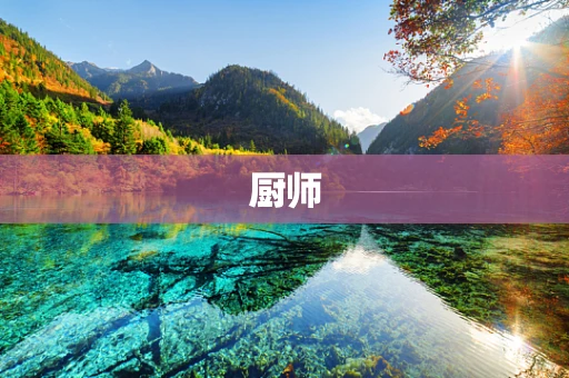 厨师