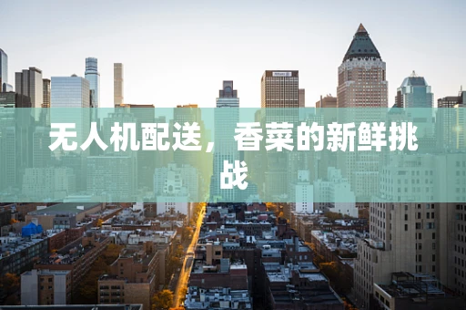 无人机配送，香菜的新鲜挑战