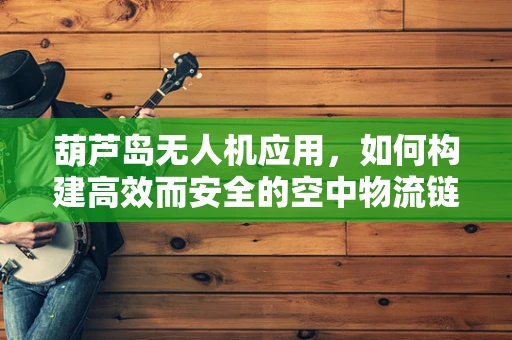 葫芦岛无人机应用，如何构建高效而安全的空中物流链？