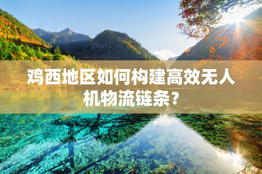 鸡西地区如何构建高效无人机物流链条？