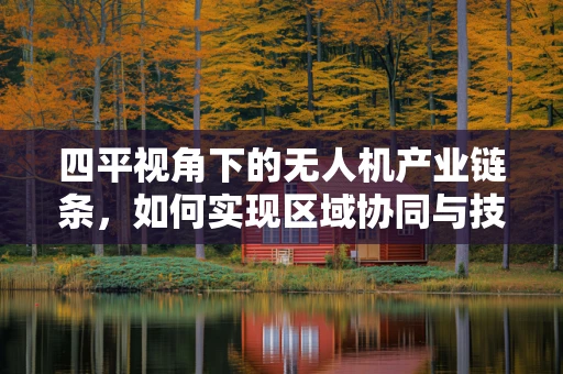 四平视角下的无人机产业链条，如何实现区域协同与技术创新？