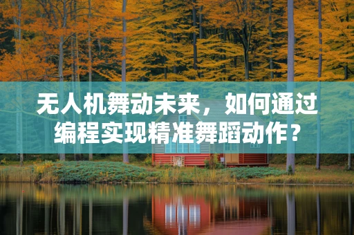 无人机舞动未来，如何通过编程实现精准舞蹈动作？