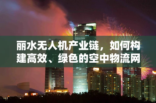 丽水无人机产业链，如何构建高效、绿色的空中物流网络？