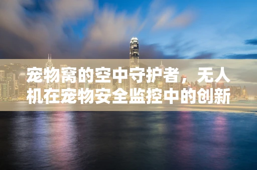 宠物窝的空中守护者，无人机在宠物安全监控中的创新应用？
