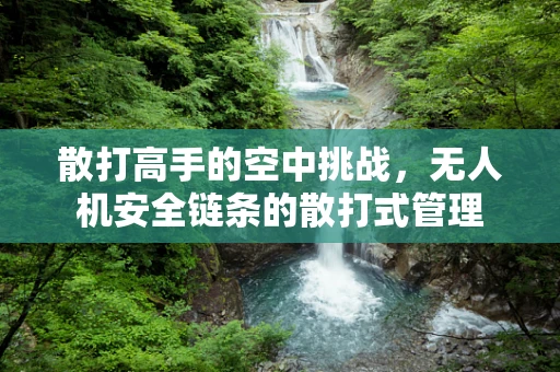 散打高手的空中挑战，无人机安全链条的散打式管理