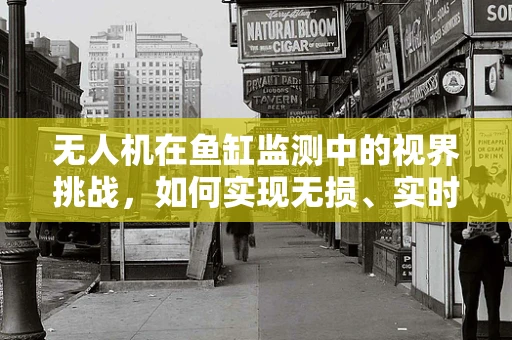 无人机在鱼缸监测中的视界挑战，如何实现无损、实时的水下监控？