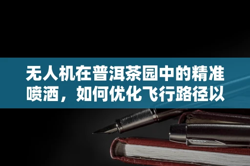 无人机在普洱茶园中的精准喷洒，如何优化飞行路径以提升效率？