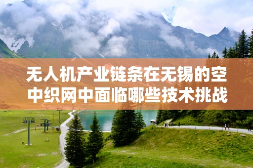 无人机产业链条在无锡的空中织网中面临哪些技术挑战？