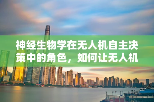 神经生物学在无人机自主决策中的角色，如何让无人机‘思考’？