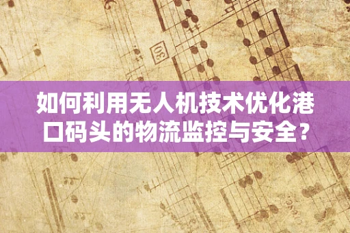 如何利用无人机技术优化港口码头的物流监控与安全？