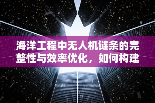 海洋工程中无人机链条的完整性与效率优化，如何构建？