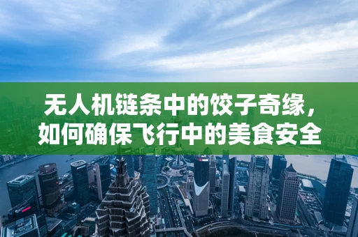 无人机链条中的饺子奇缘，如何确保飞行中的美食安全？