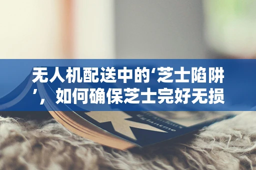 无人机配送中的‘芝士陷阱’，如何确保芝士完好无损地送达？
