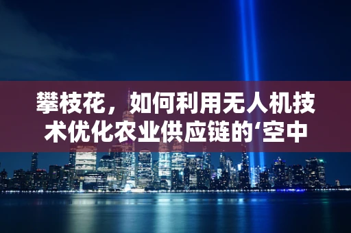 攀枝花，如何利用无人机技术优化农业供应链的‘空中桥梁’？
