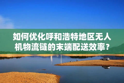 如何优化呼和浩特地区无人机物流链的末端配送效率？