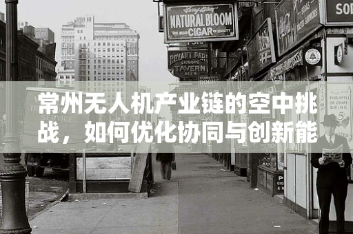 常州无人机产业链的空中挑战，如何优化协同与创新能力？
