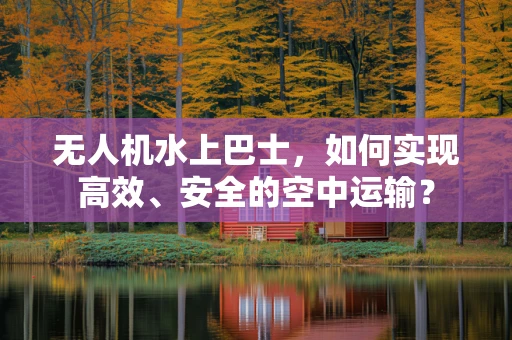 无人机水上巴士，如何实现高效、安全的空中运输？