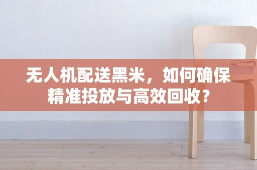 无人机配送黑米，如何确保精准投放与高效回收？