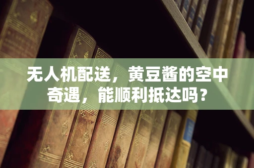 无人机配送，黄豆酱的空中奇遇，能顺利抵达吗？