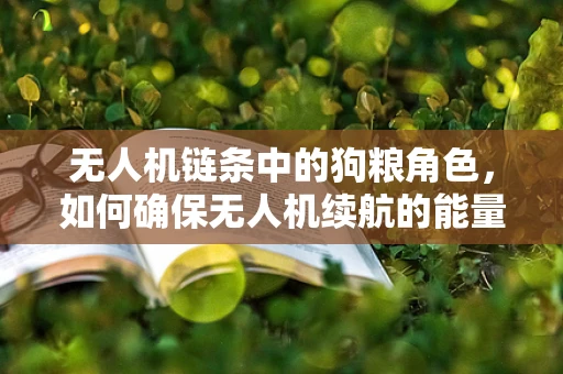 无人机链条中的狗粮角色，如何确保无人机续航的能量之源？