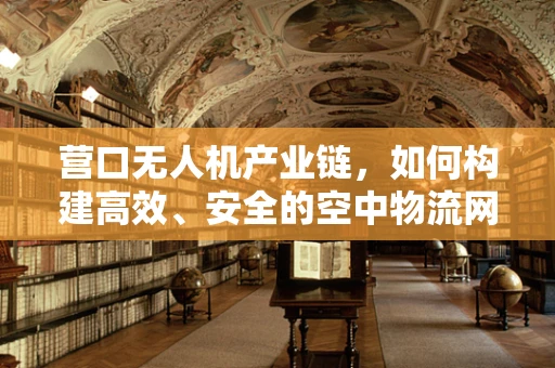 营口无人机产业链，如何构建高效、安全的空中物流网络？