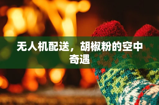 无人机配送，胡椒粉的空中奇遇