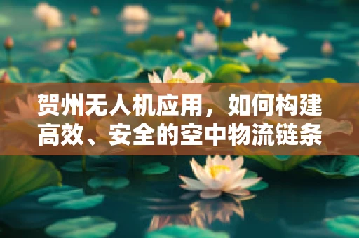 贺州无人机应用，如何构建高效、安全的空中物流链条？