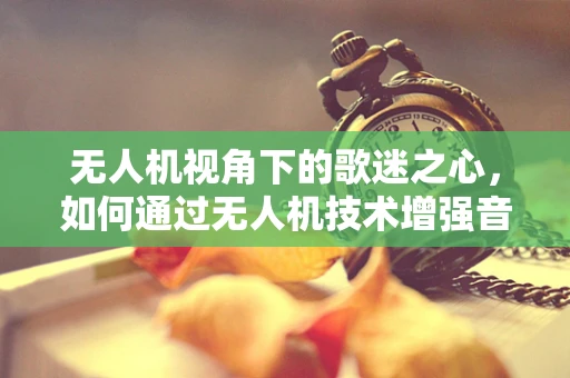 无人机视角下的歌迷之心，如何通过无人机技术增强音乐节互动体验？