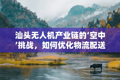 汕头无人机产业链的‘空中’挑战，如何优化物流配送效率？