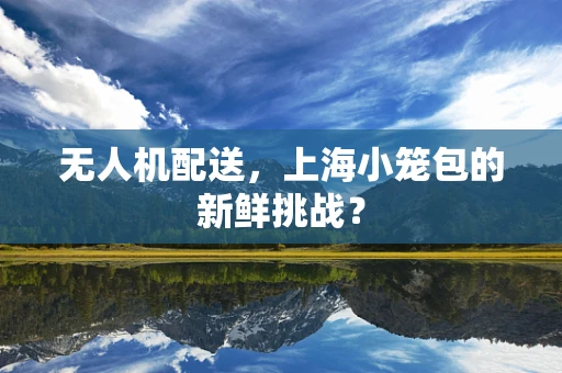 无人机配送，上海小笼包的新鲜挑战？