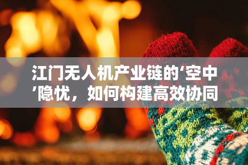 江门无人机产业链的‘空中’隐忧，如何构建高效协同的供应链网络？