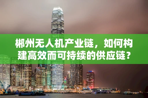 郴州无人机产业链，如何构建高效而可持续的供应链？