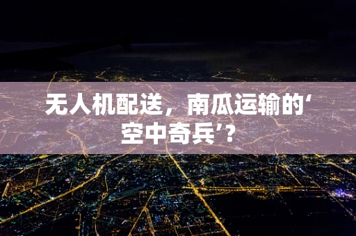 无人机配送，南瓜运输的‘空中奇兵’？