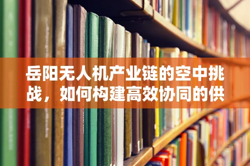 岳阳无人机产业链的空中挑战，如何构建高效协同的供应链？